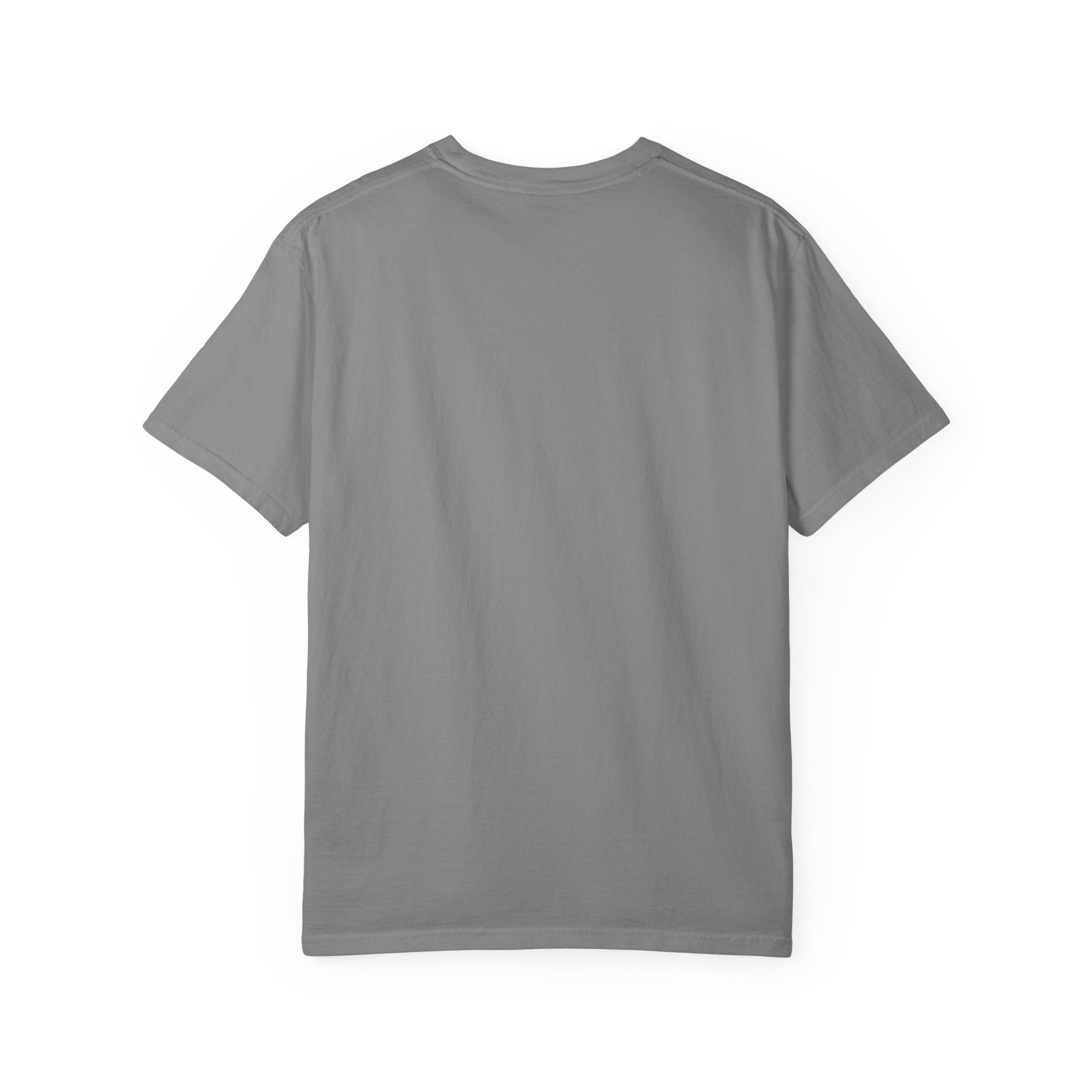 Hold Your Horses Graphic Tee - Comfort Colors